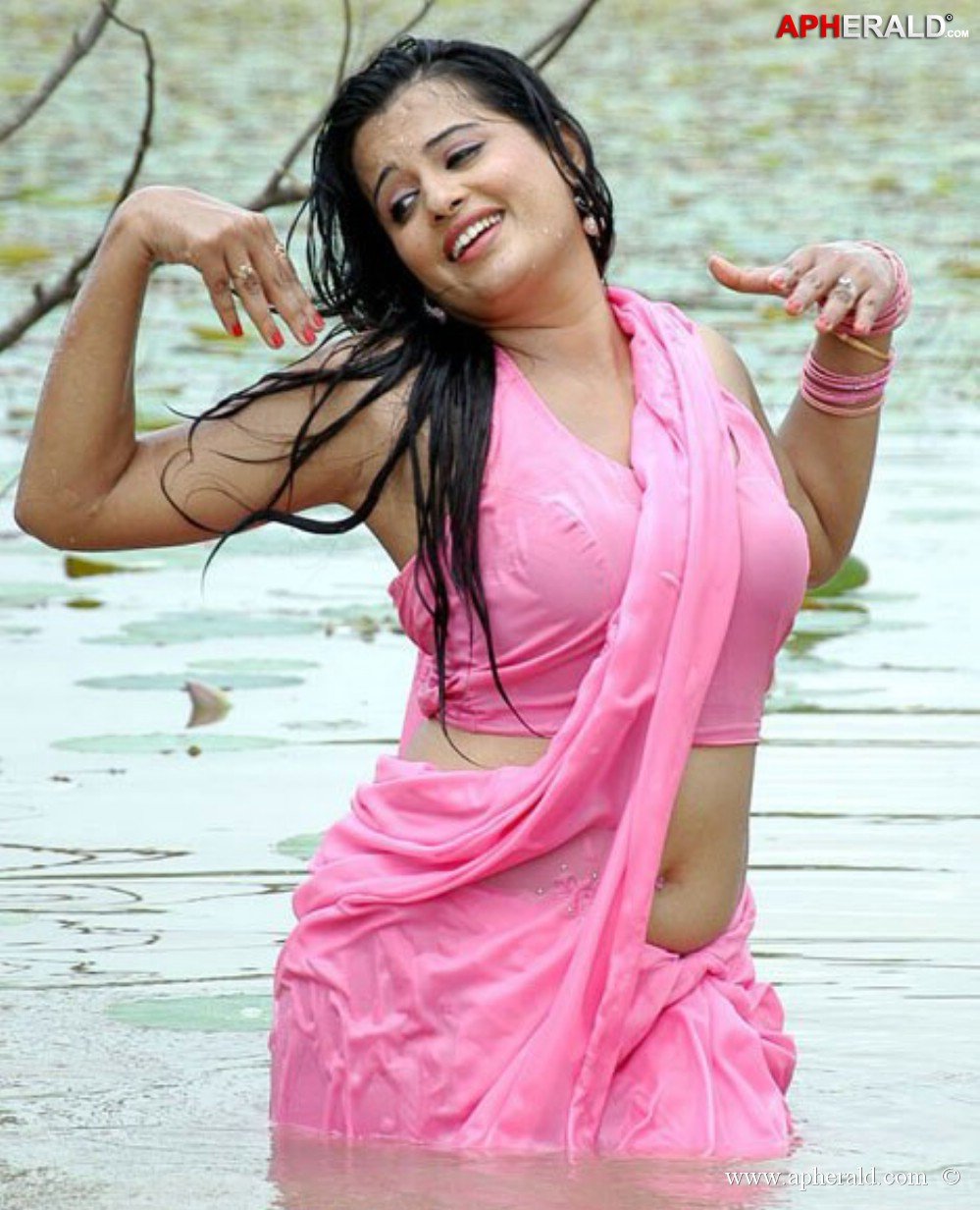 Actress Wet Saree Pics