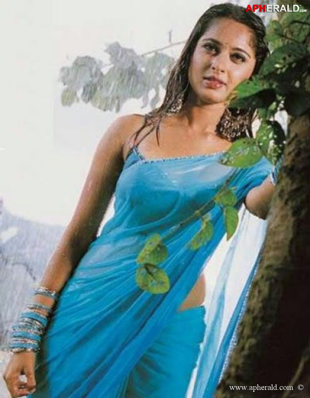 Actress Wet Saree Pics