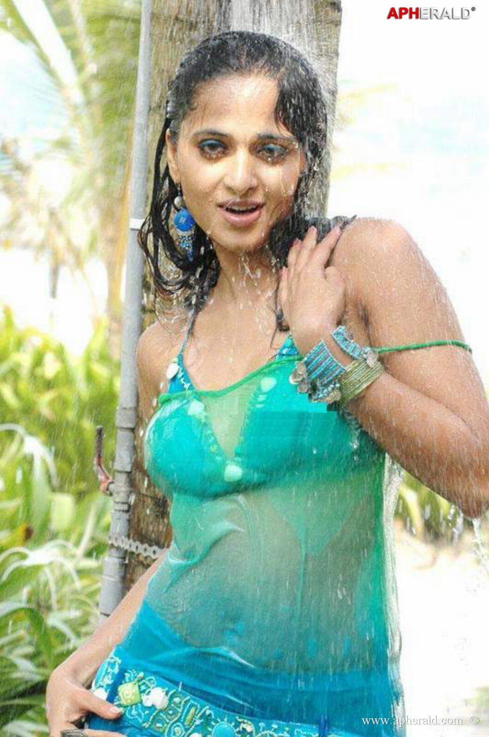 Actress Wet Saree Pics