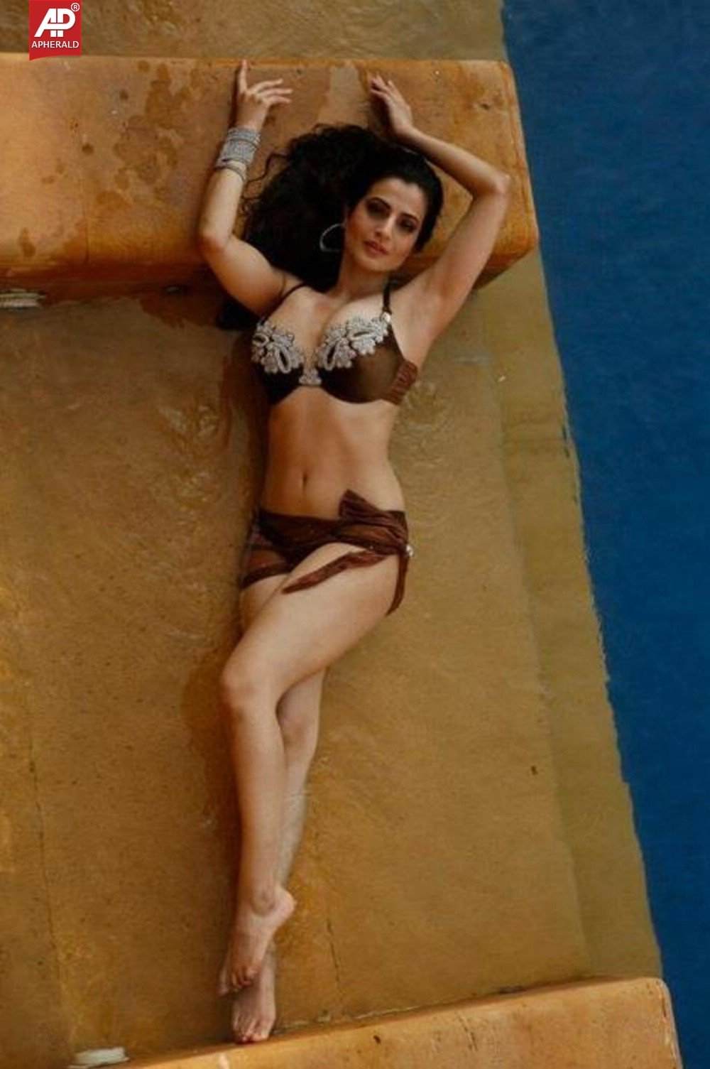 Amisha Patel Hot Navel Images