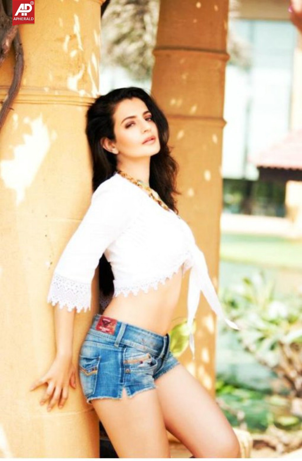 Amisha Patel Hot Navel Images