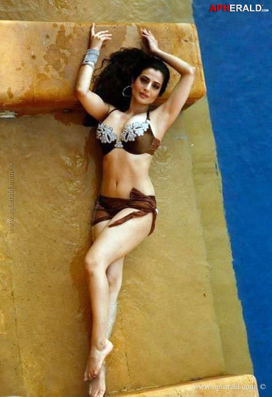 Amisha Patel Hot Navel Stills