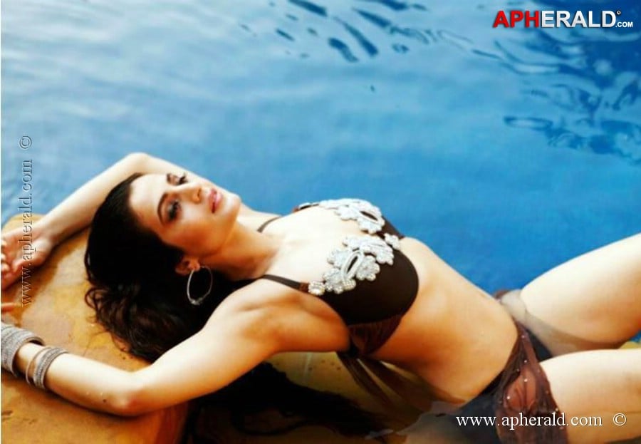 Amisha Patel Hot Navel Stills