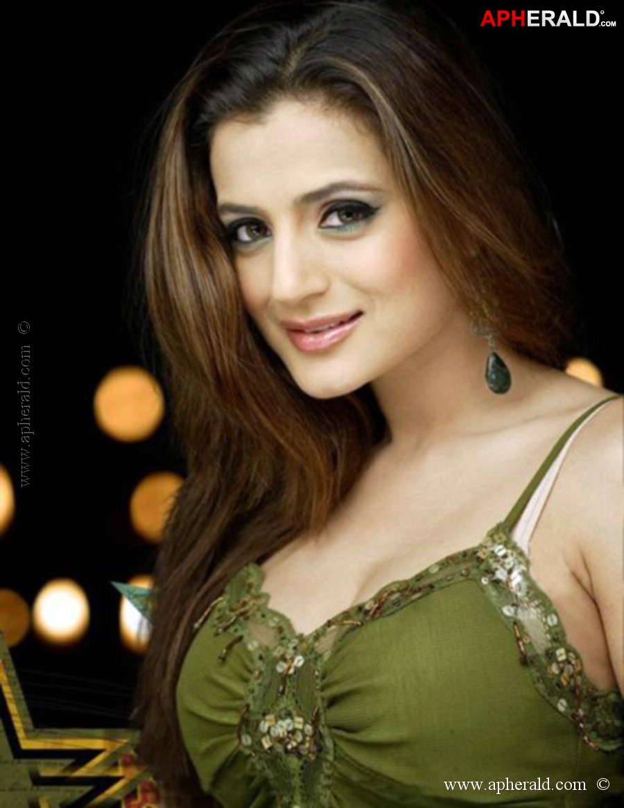 Amisha Patel Hot Stills