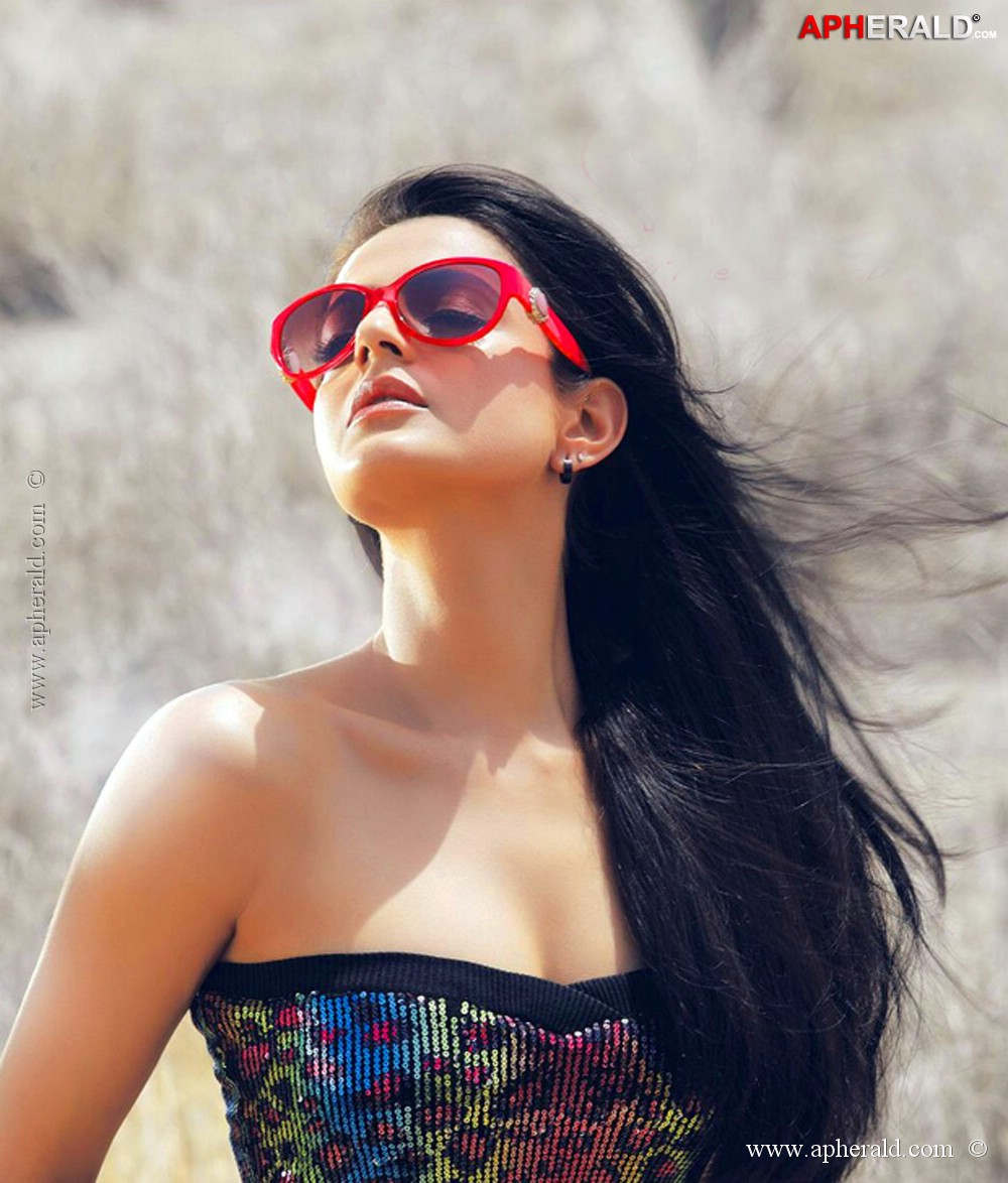 Amisha Patel Spicy Stills