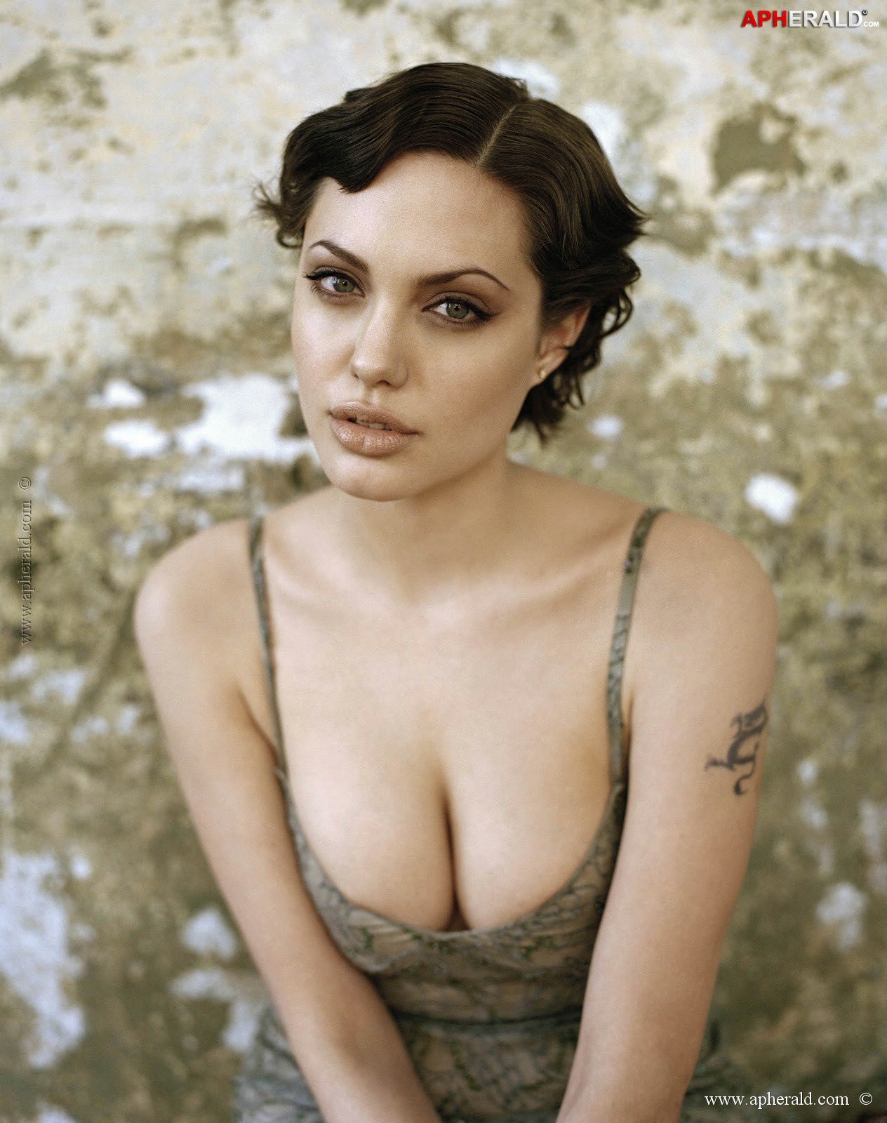 angelina jolie hot pics