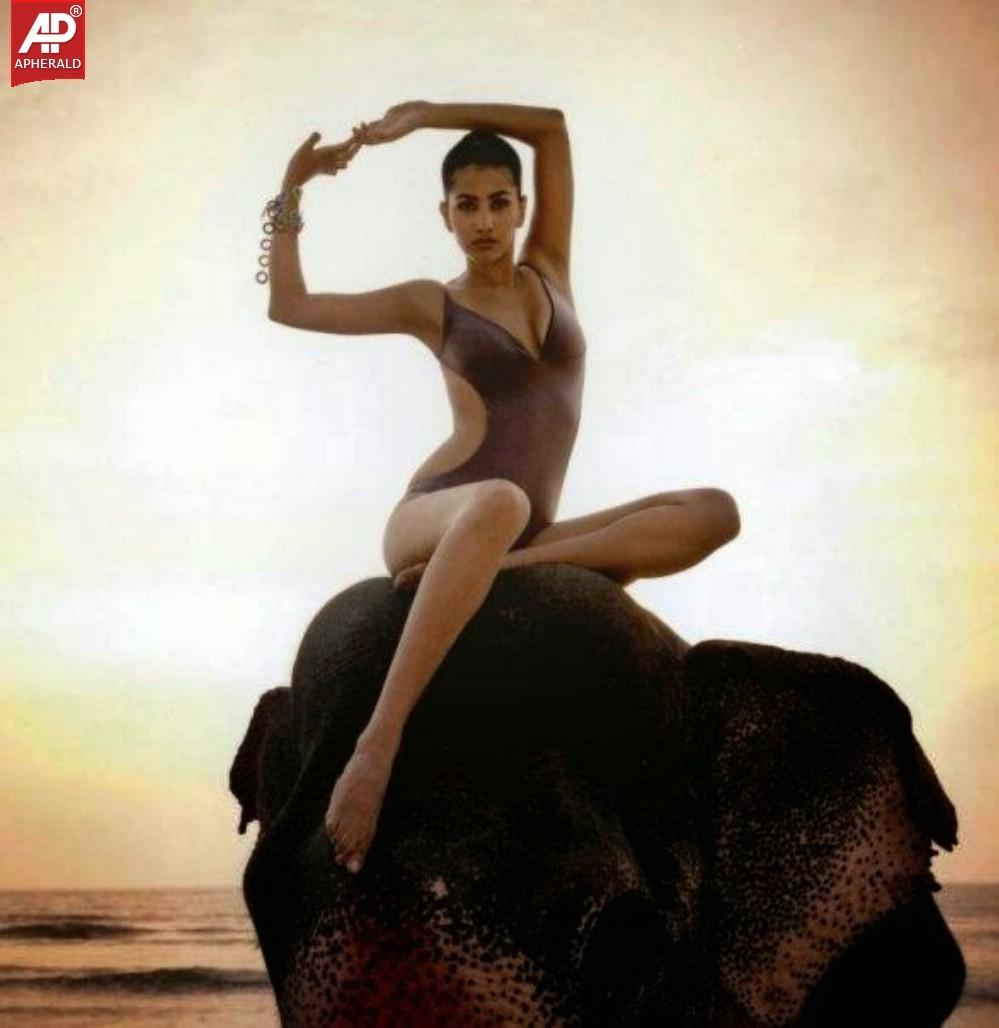 Anjali Lavania Hot Photo Collections