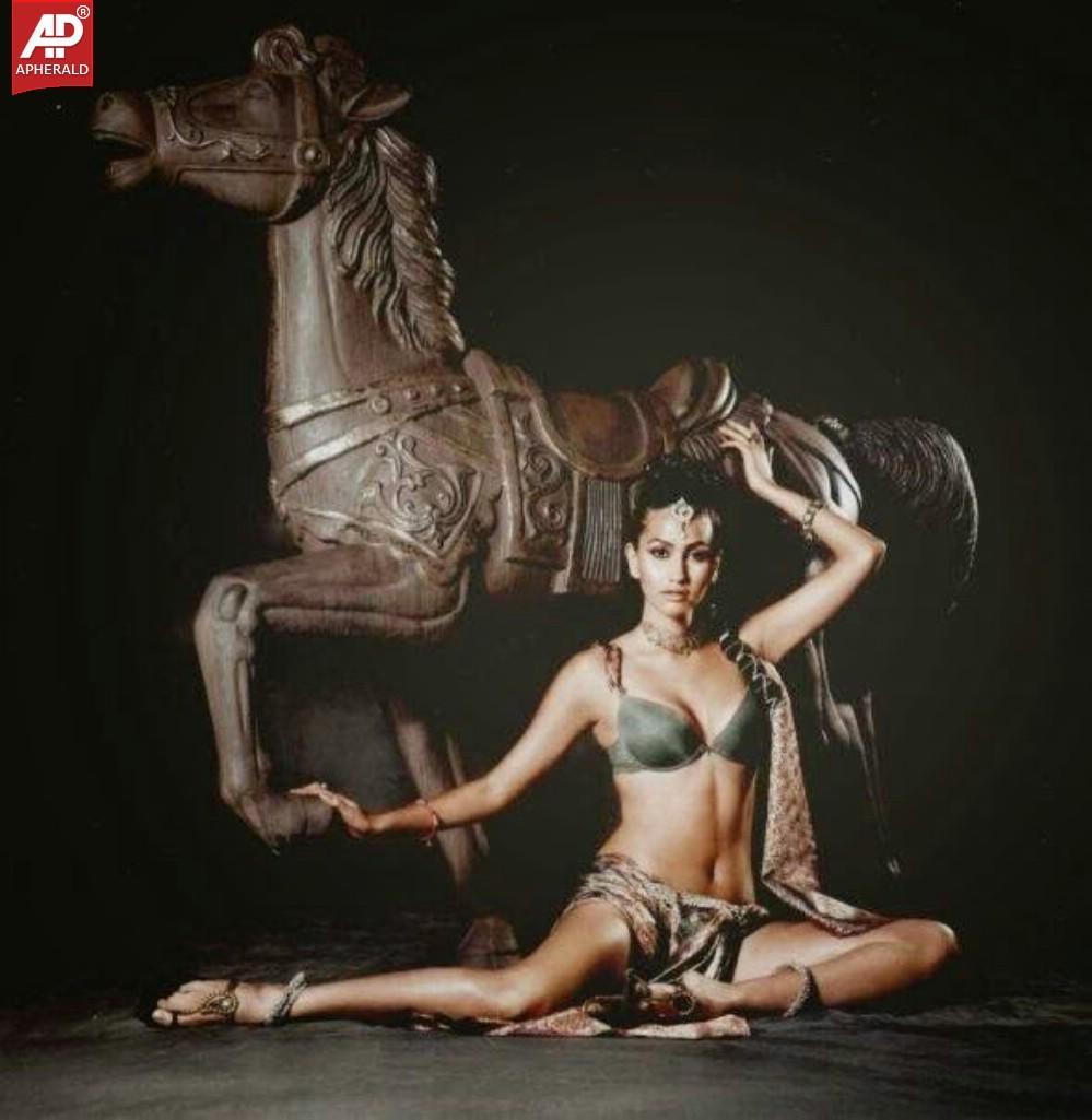 Anjali Lavania Hot Photo Collections