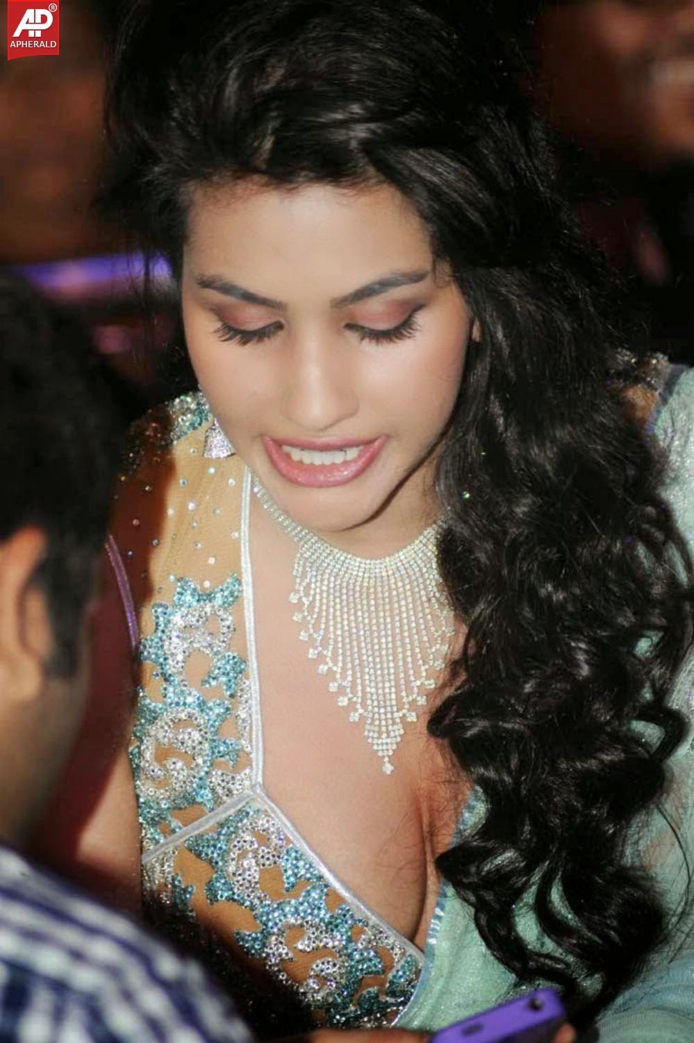 Anjali Lavania Hot Photo Collections