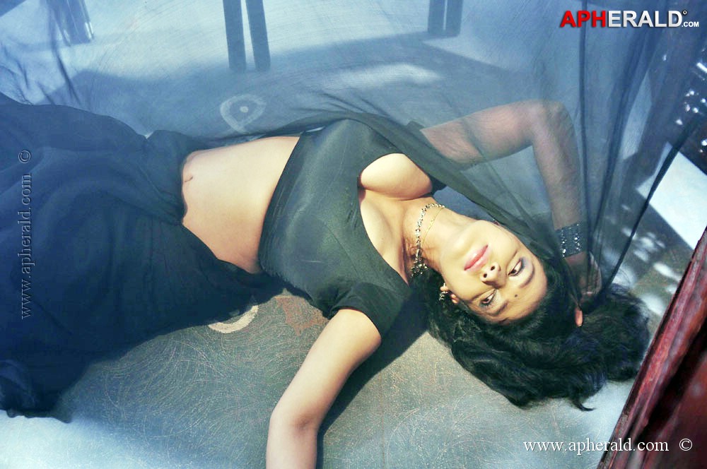 Asha Shaini Hot Photos