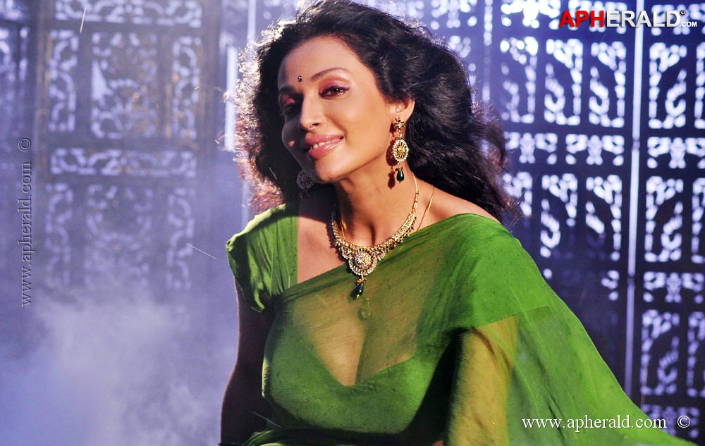 Asha Shaini Hot Photos