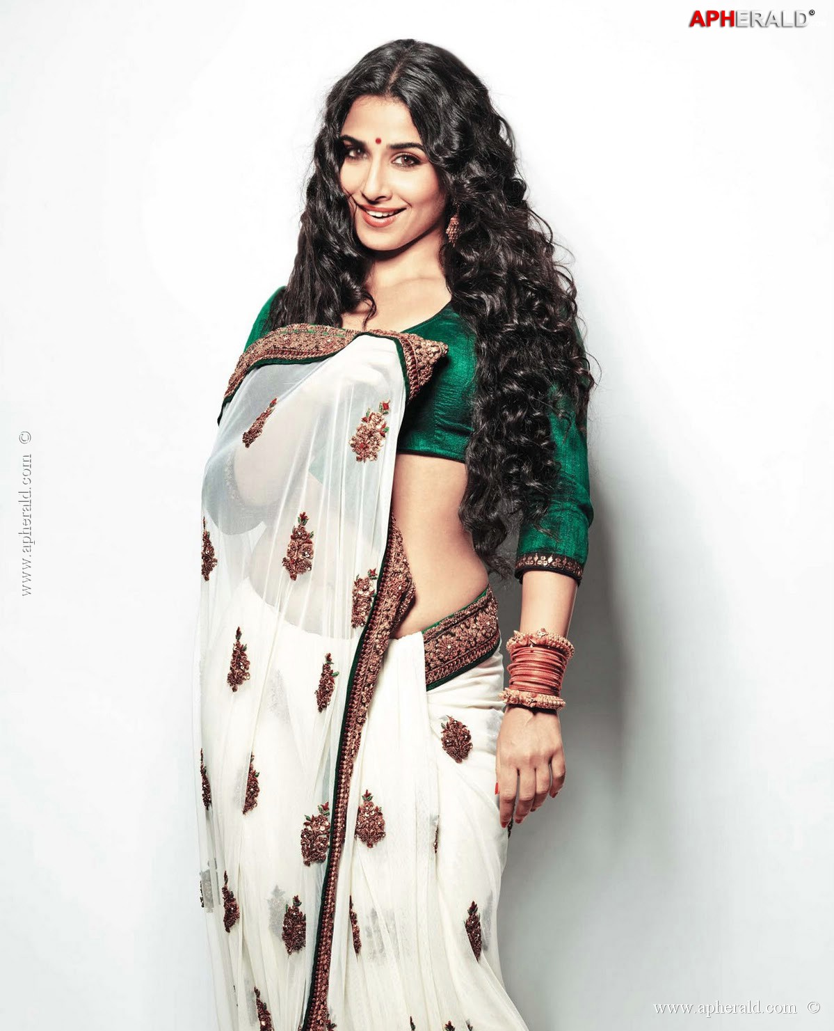 Bollywood Actress Hot Saree Pics