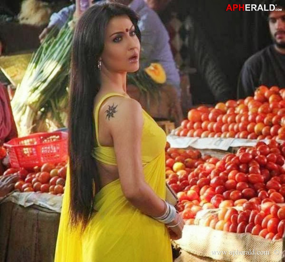 Elli Avram Hot Pics