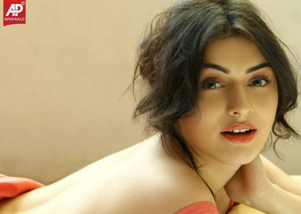 Hansika Motwani Hot Photo Stills