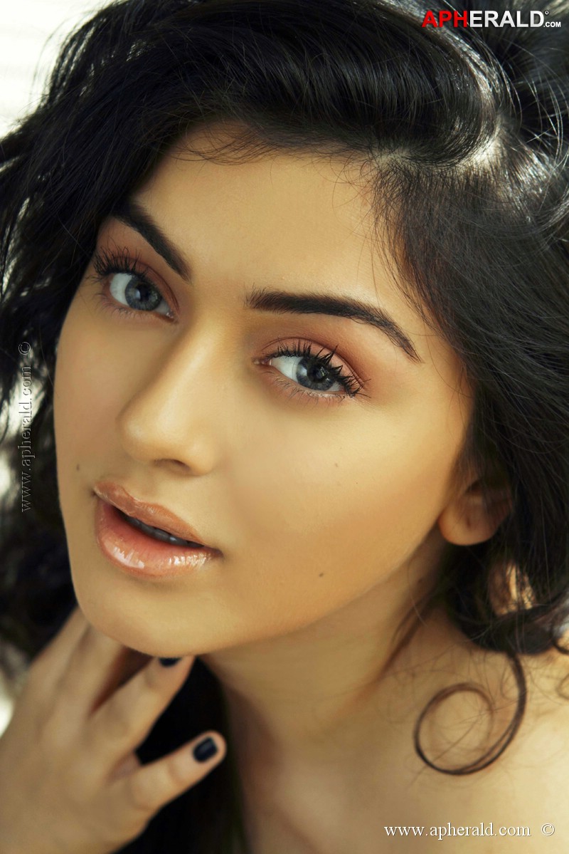 hansika motwani hot photoshoot