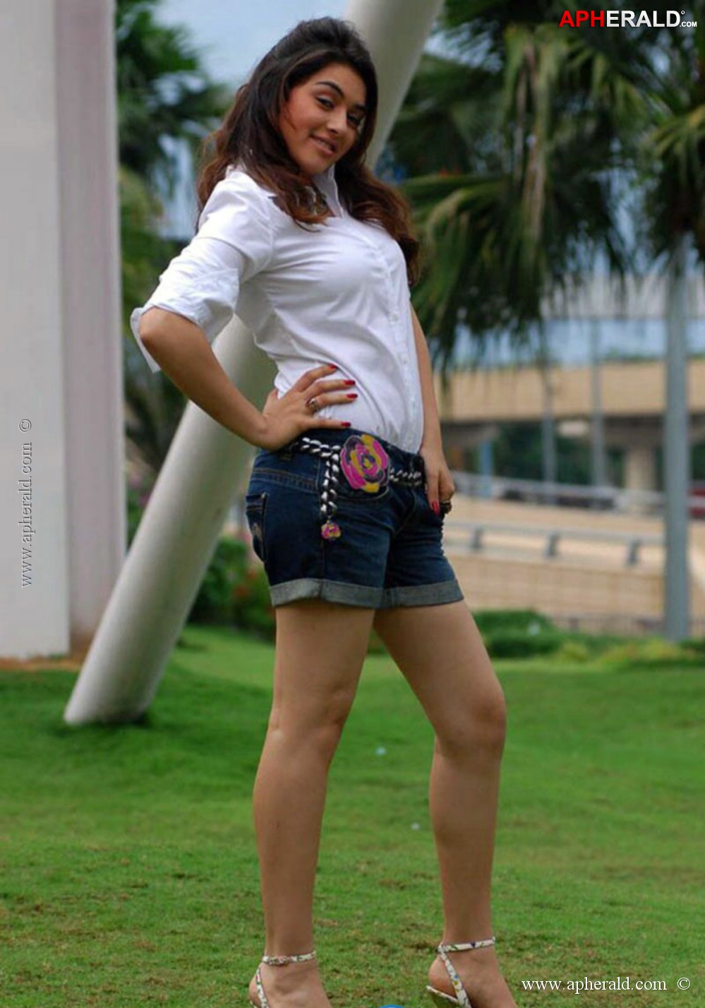 Hansika Motwani Latest Spicy Pics