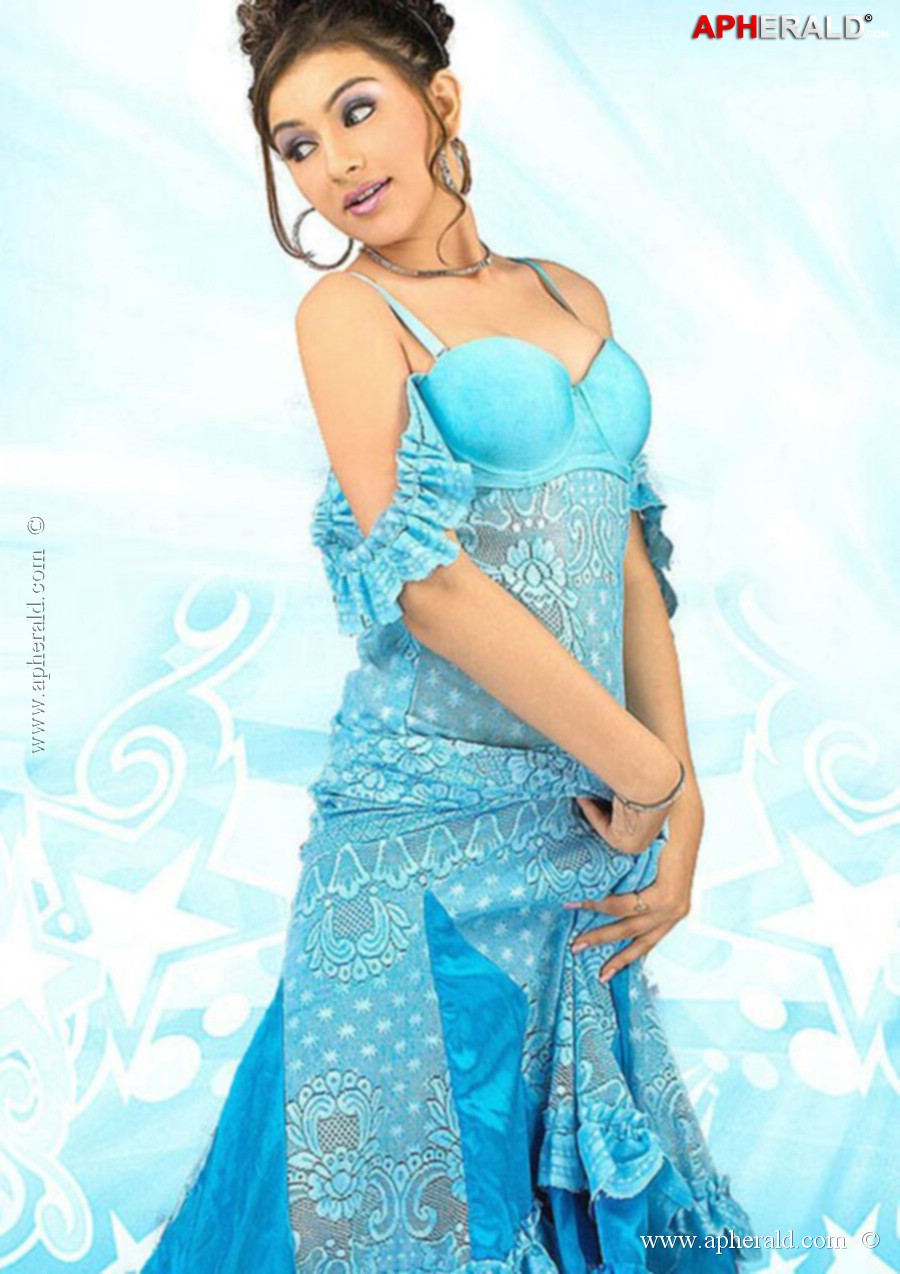 Hansika Motwani Spicy Stills