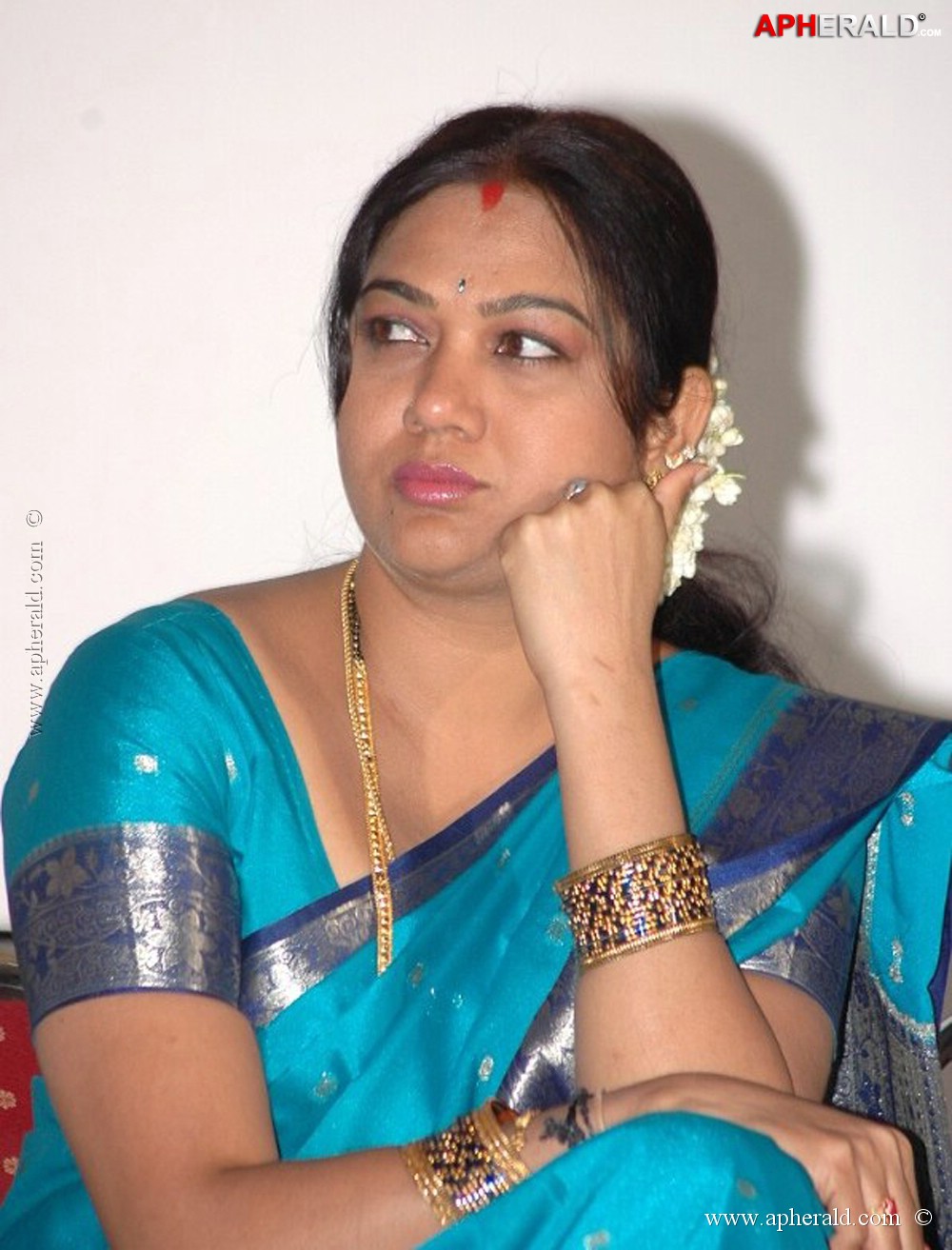 Hema Spicy Photos