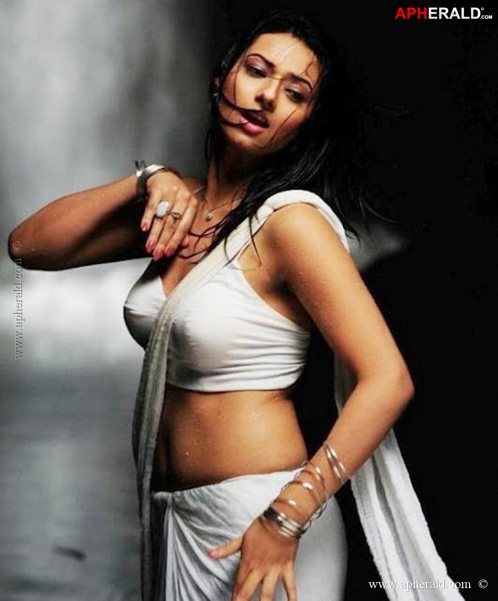 Hot Actress in Saree Photos