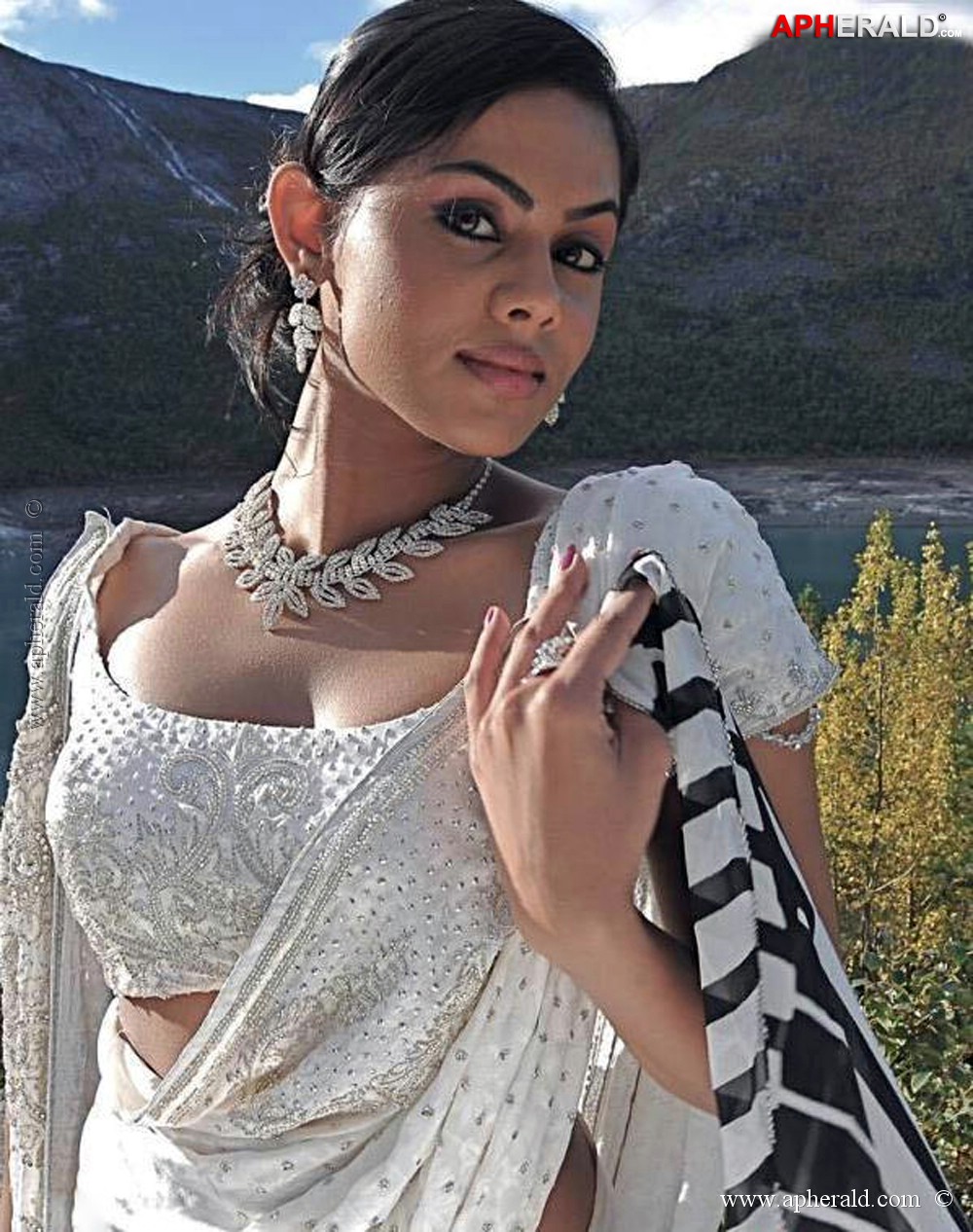 Hot Actress in Saree Photos