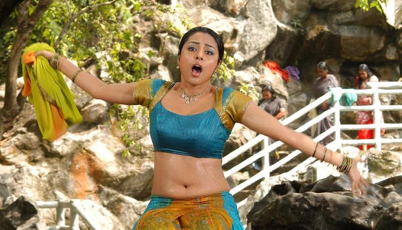 Hot Meenakshi Wet Photos