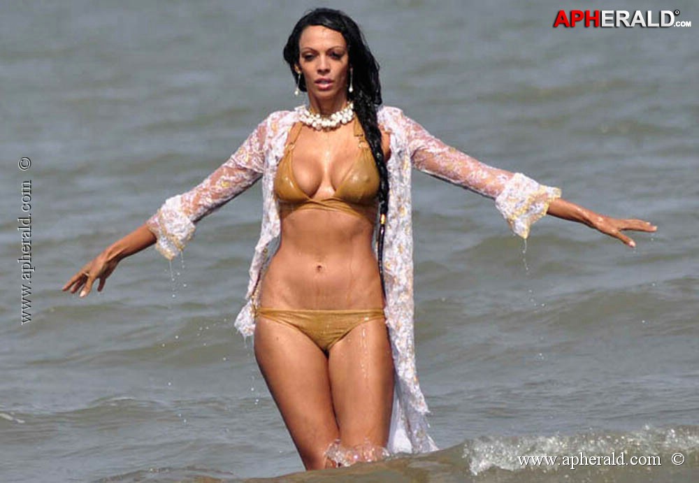 Hot Navel Actress Photos