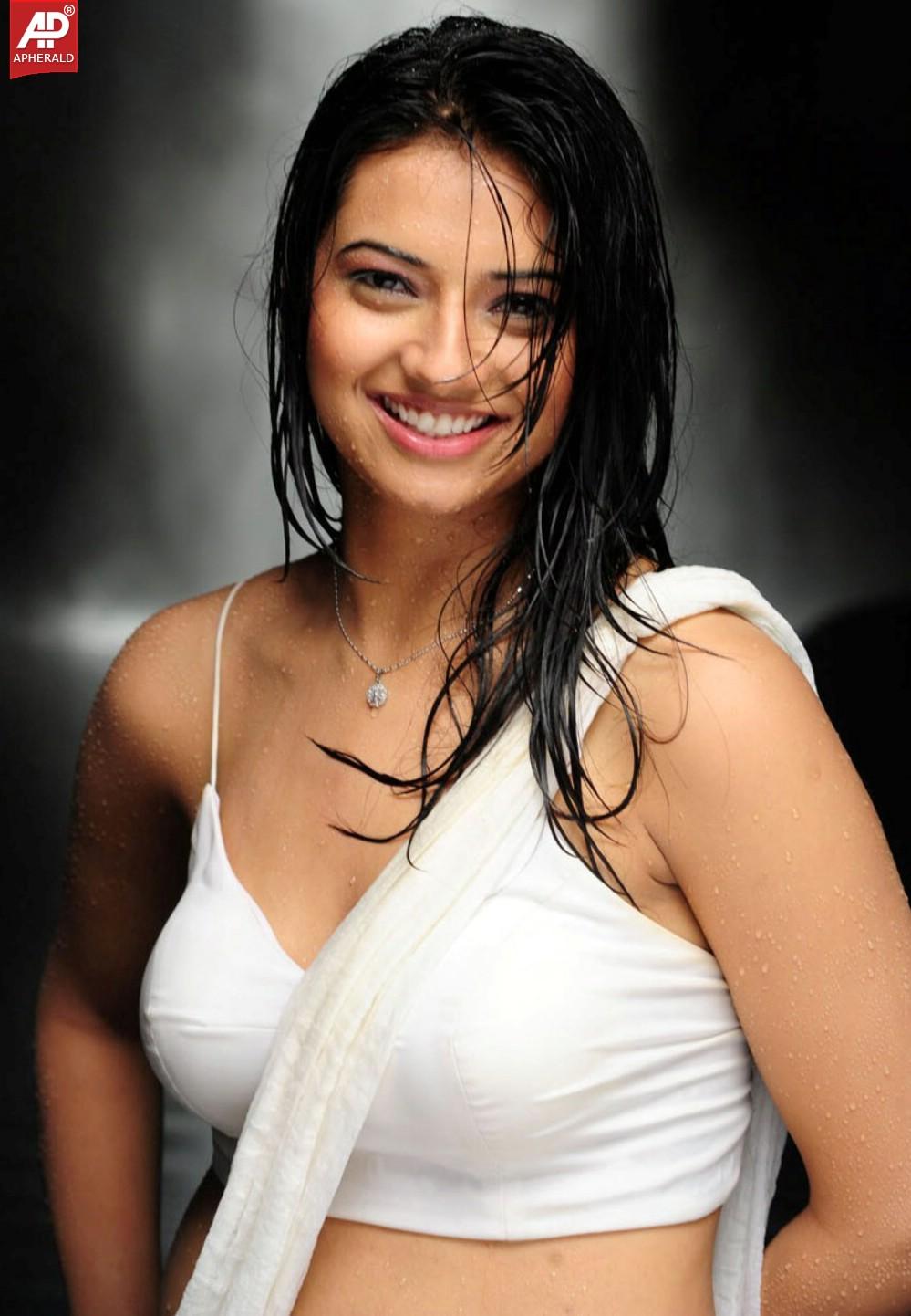 Isha Chawla Hot Navel Pics in Saree