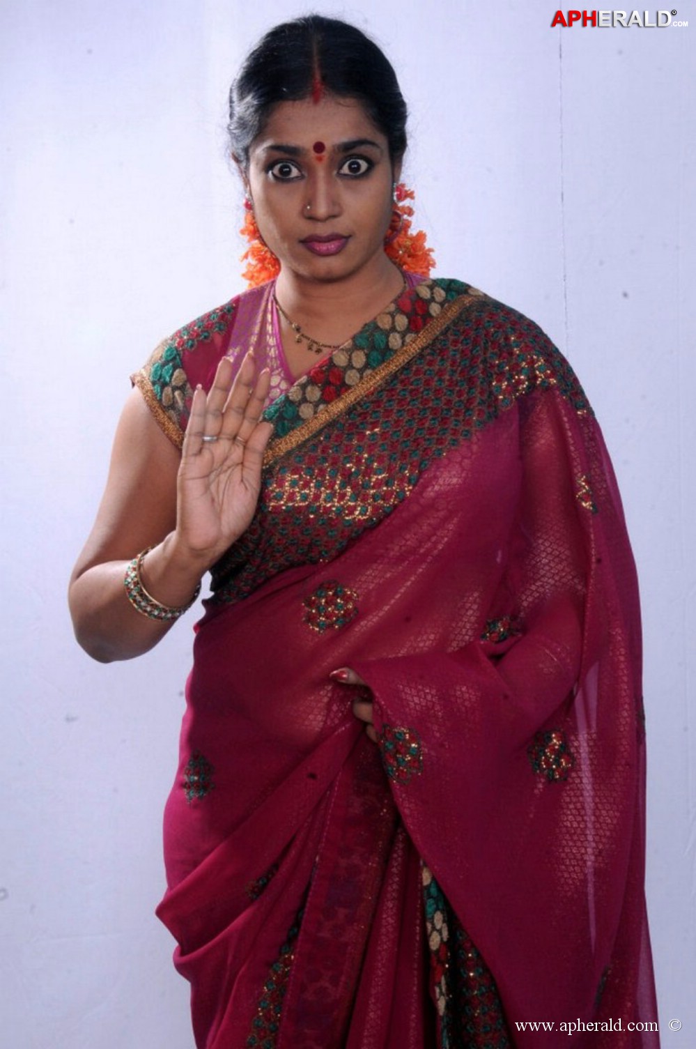 Jayavani Aunty Hot In Sraee Stills
