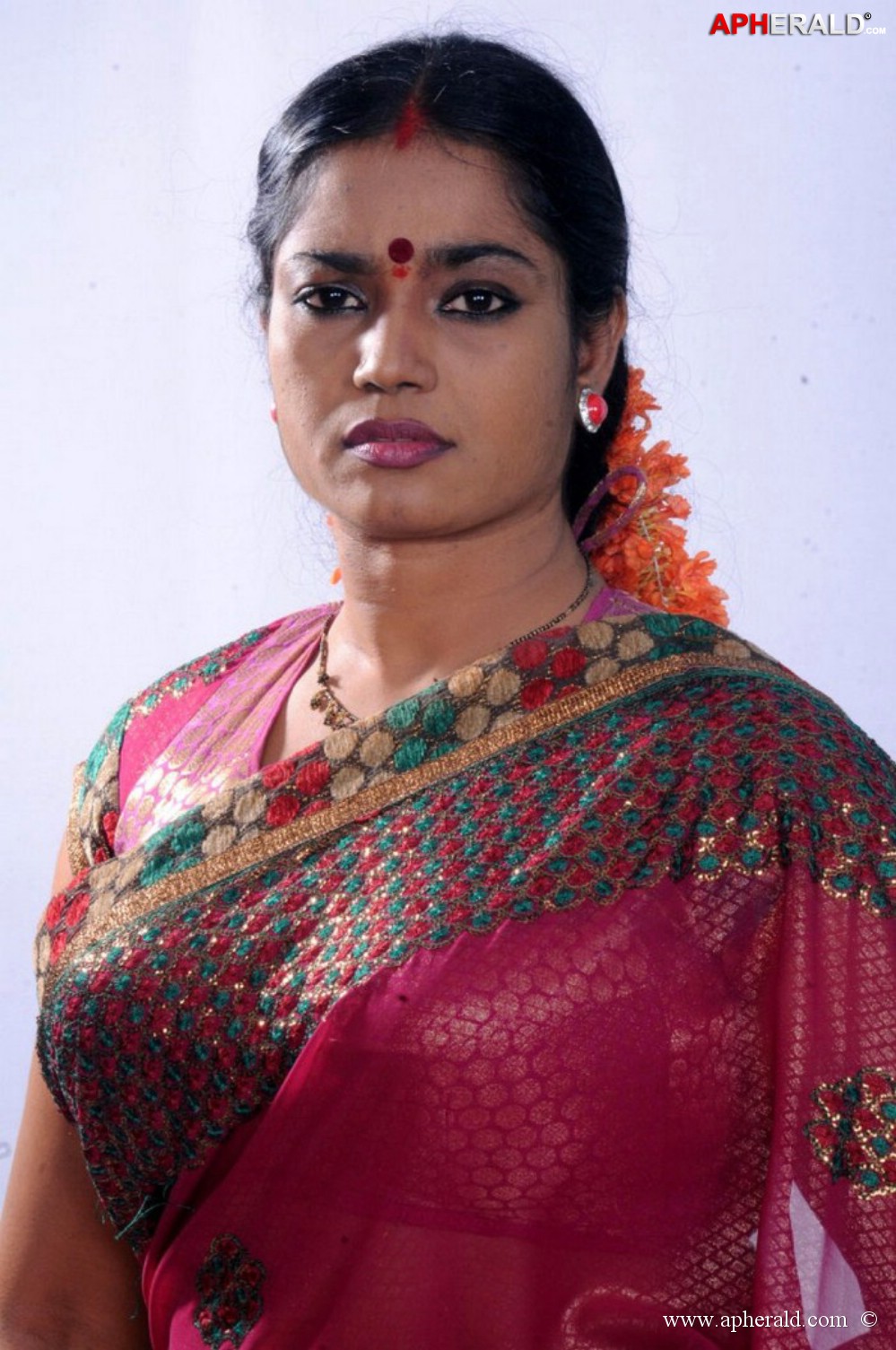 Jayavani Aunty Hot In Sraee Stills