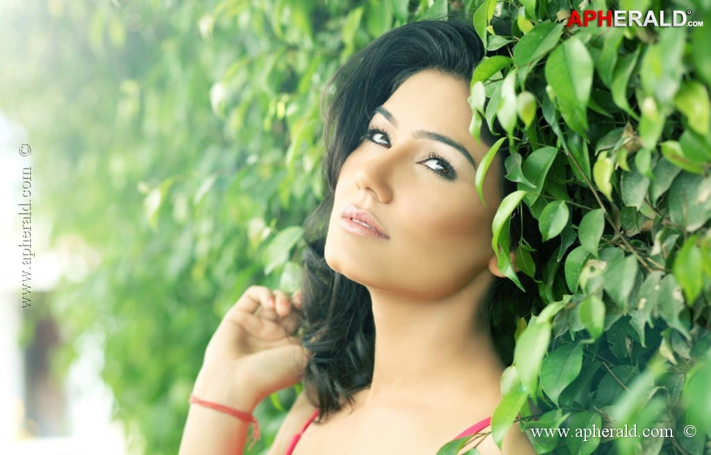 Kangana Sharma Spicy Photos