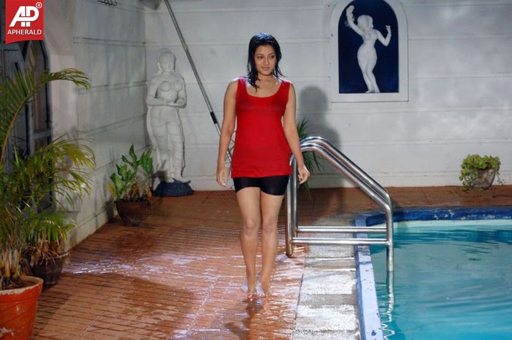 keerthi chawla wet photos