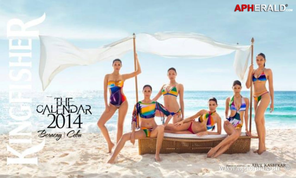 Kingfisher Calendar 2014 Photos