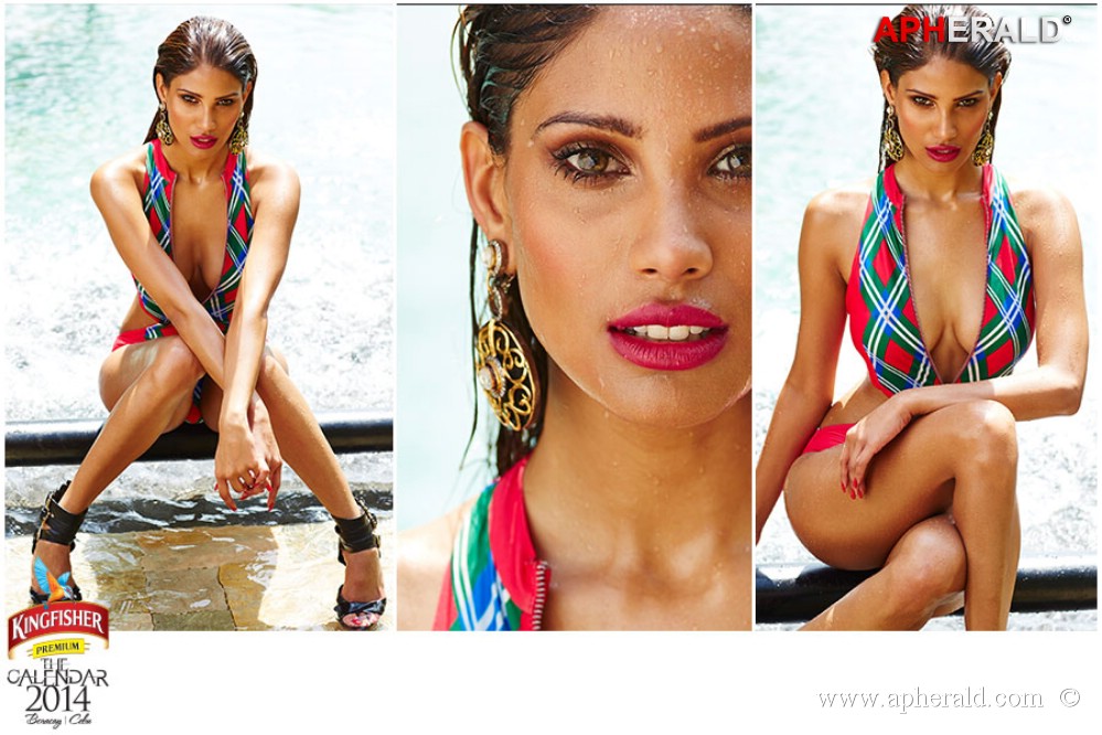 Kingfisher Calendar 2014 Photos