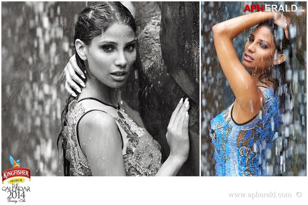 Kingfisher Calendar 2014 Photos