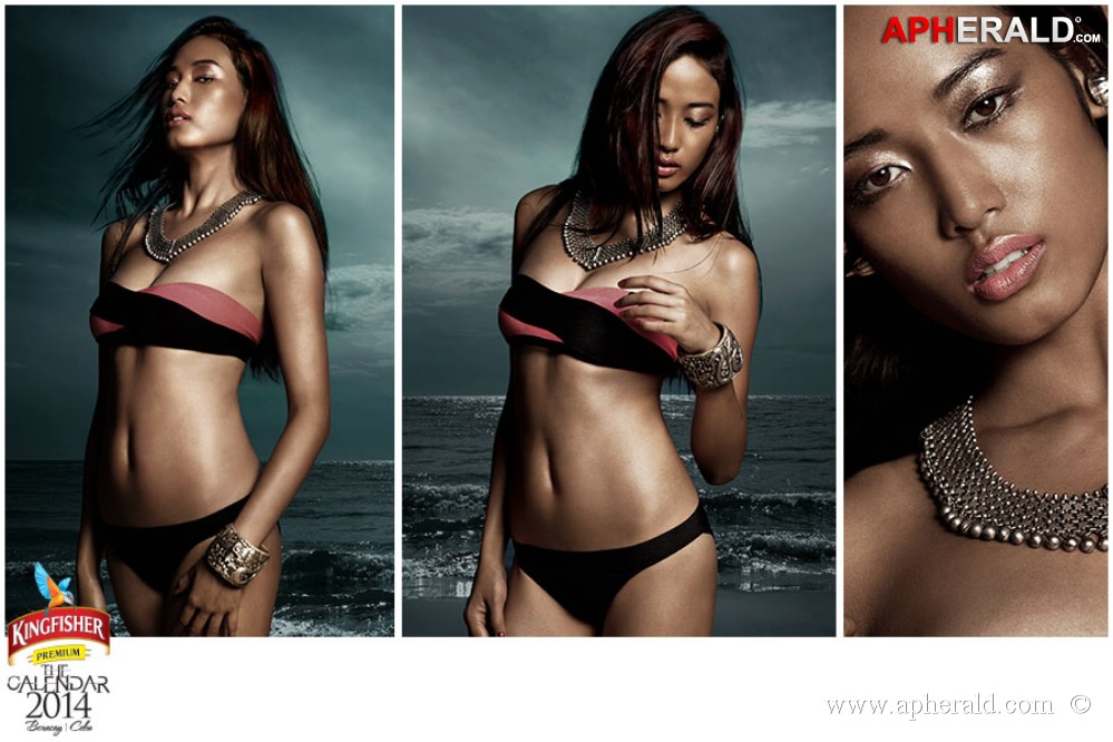 Kingfisher Calendar 2014 Photos