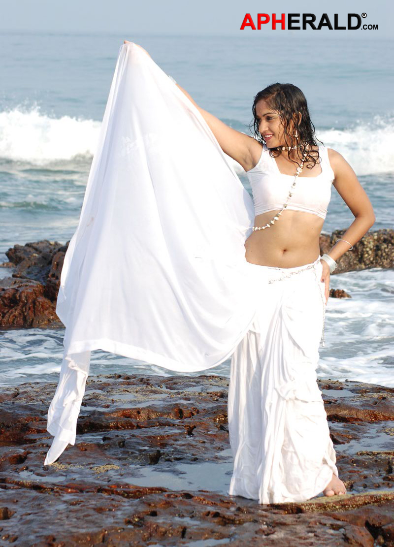 Madhavi Latha Hot