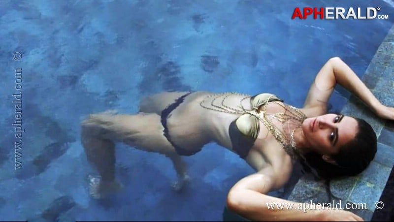 Nargis Fakhri Hot Bikini Pics