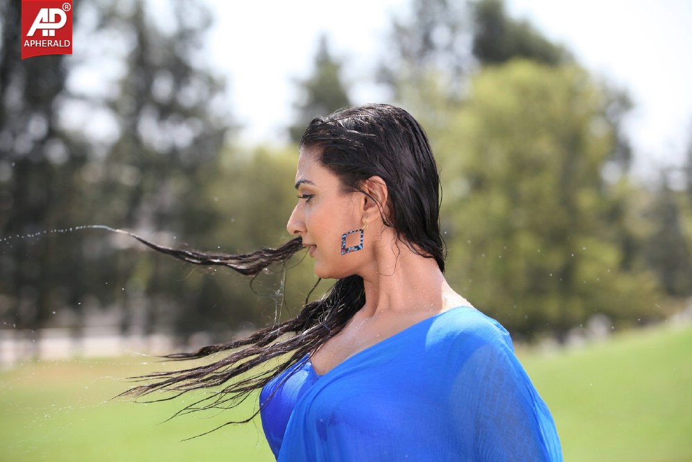 Neelam Upadhyay Spicy in Blue Sraee Pics