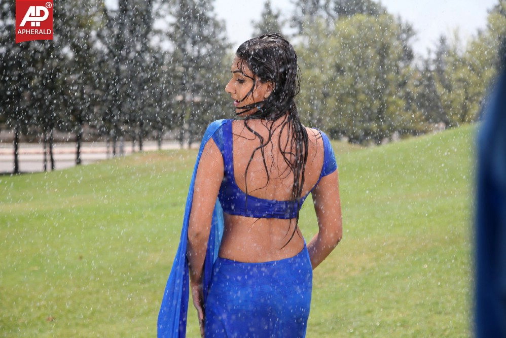 Neelam Upadhyay Spicy in Blue Sraee Pics