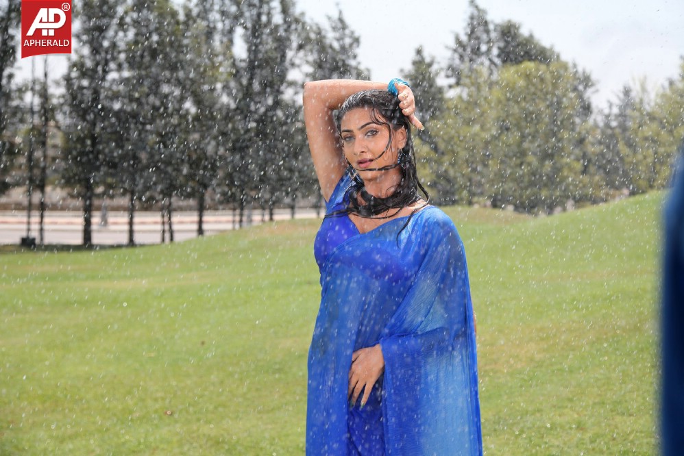 Neelam Upadhyay Spicy in Blue Sraee Pics
