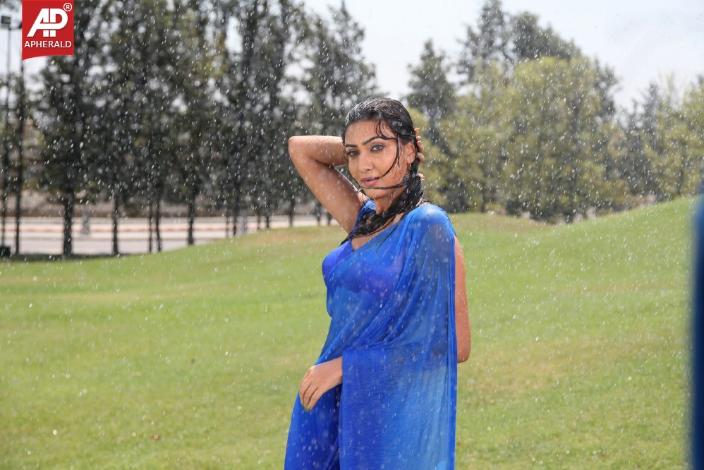 Neelam Upadhyay Spicy in Blue Sraee Pics