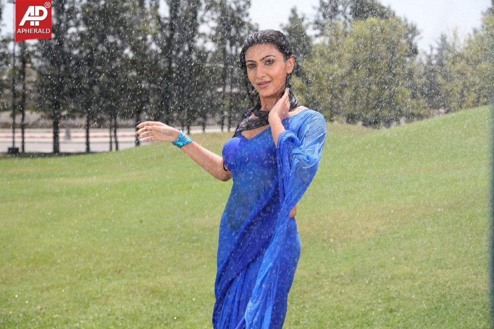 Neelam Upadhyay Spicy in Blue Sraee Pics