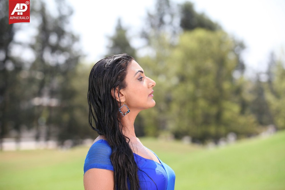 Neelam Upadhyay Spicy in Blue Sraee Pics