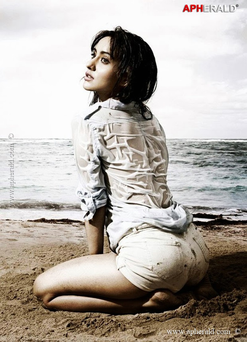  Neha Sharma Hot Navel Stills 