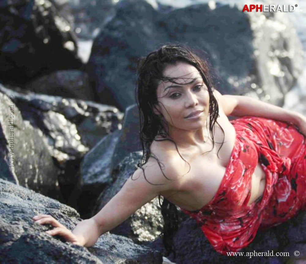 Nikita Rawal Hot Pics