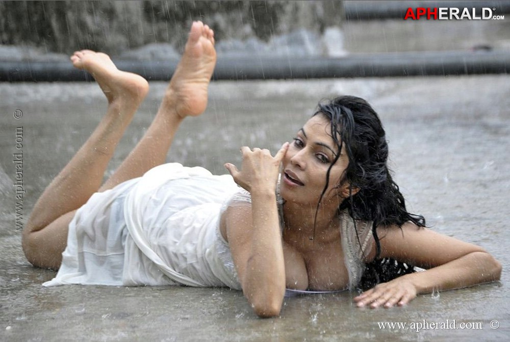 Nikita Rawal Hot Pics