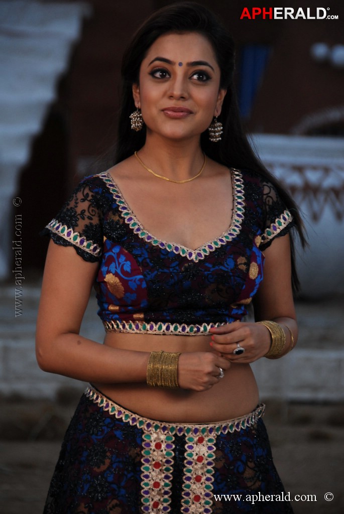 Nisha Agarwal Spicy Pics