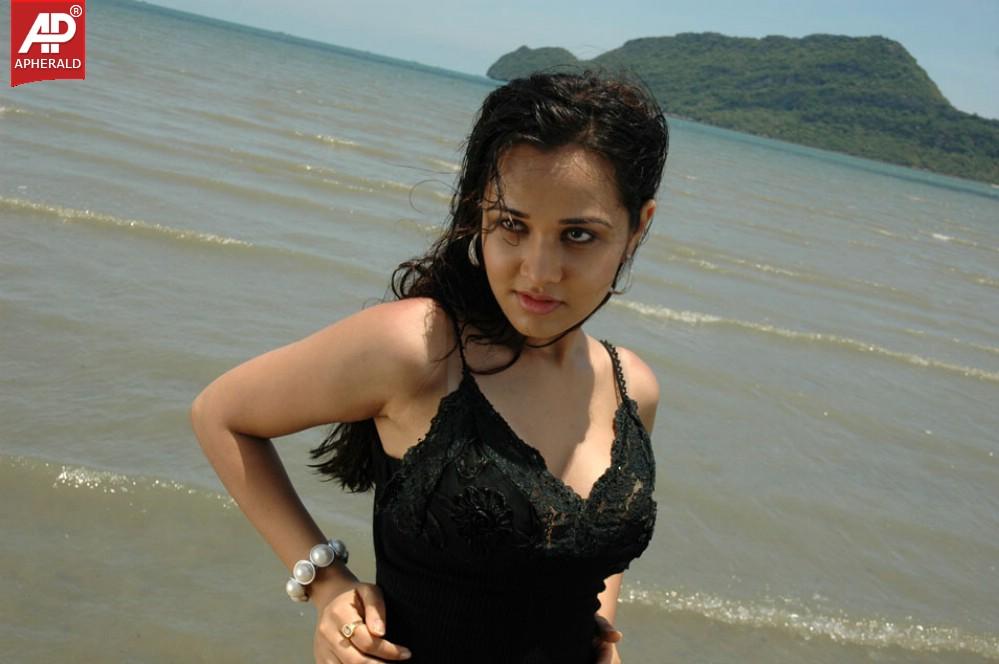 Nisha Kothari Hot Pictures