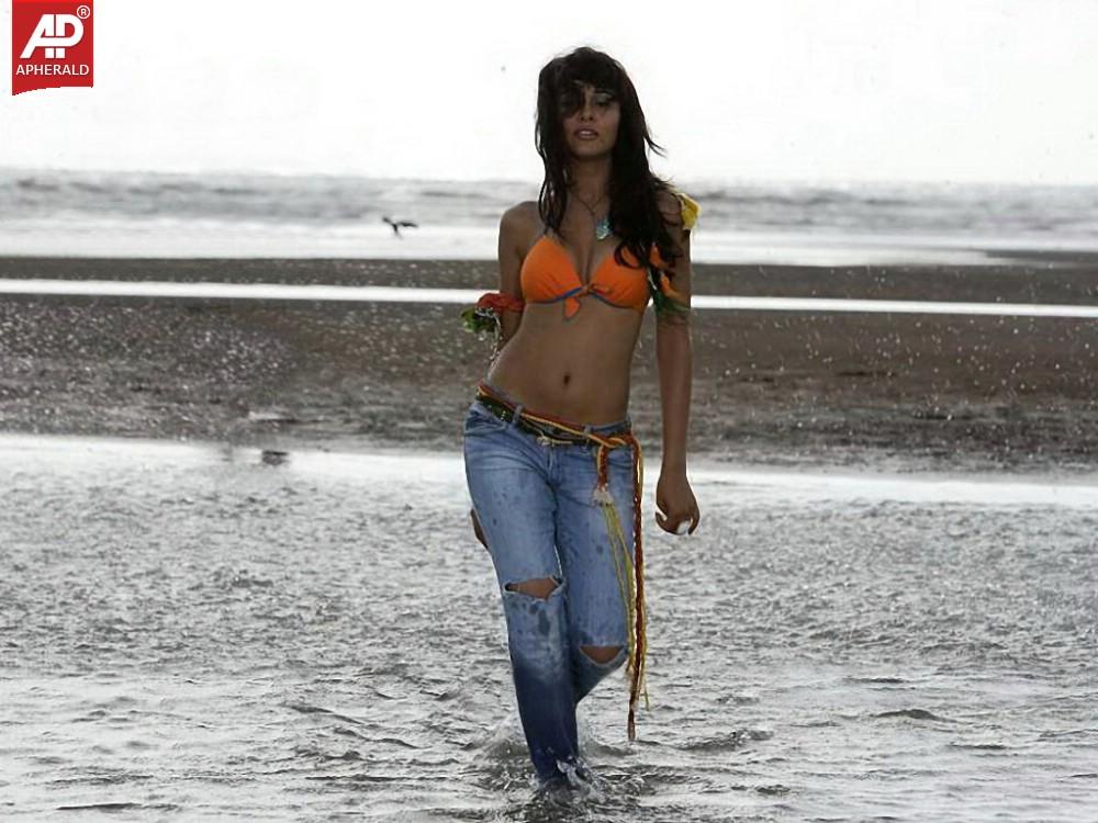 Nisha Kothari Hot Pictures