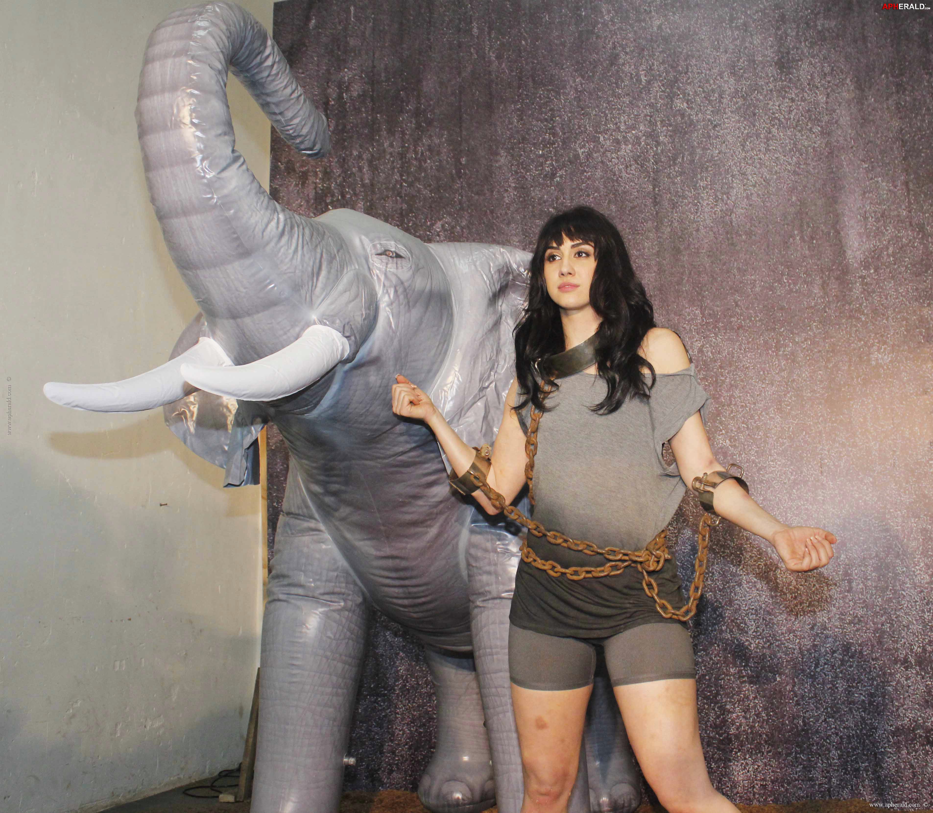 PETA Anti-Circus Campaign